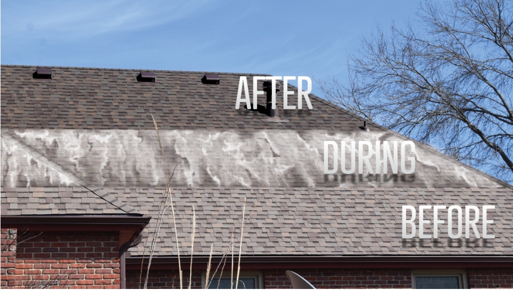 Fence rejuvenation before, during, after application process