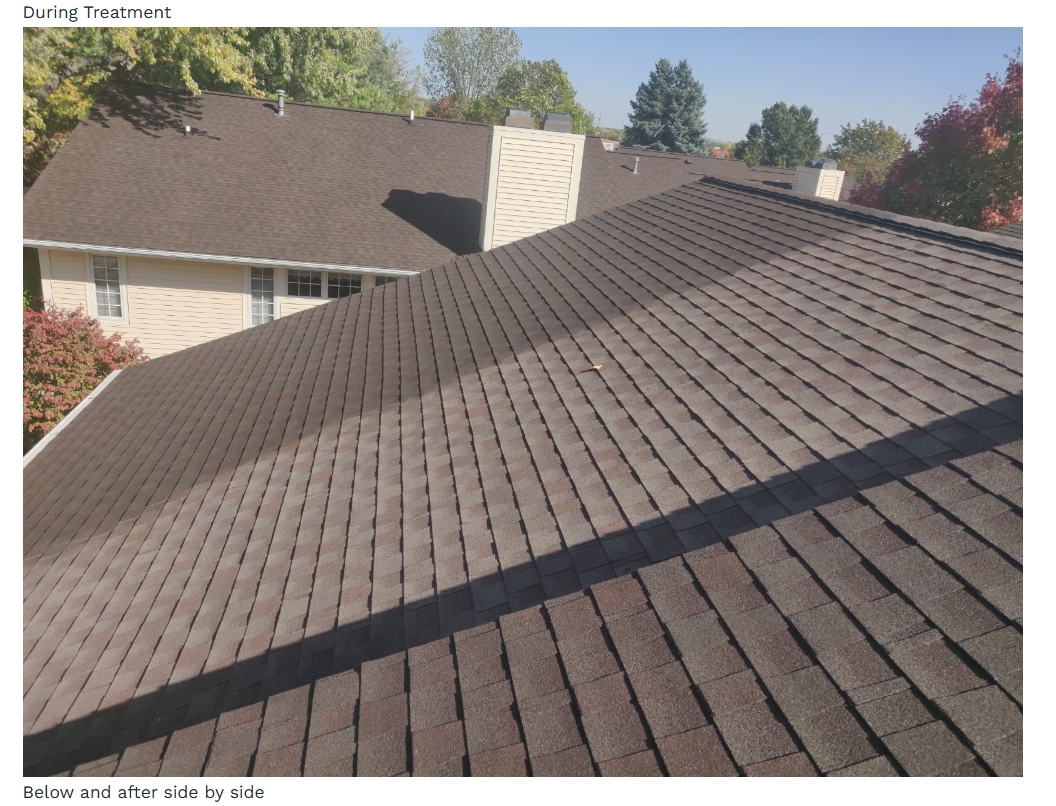side by side result comparison for roof rejuvenation